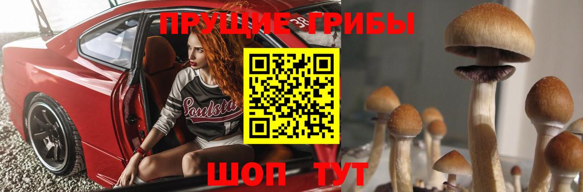 Галлюциногенные грибы мухоморы  Вход с VPN  Звенигород  что такое   Галлюциногенные грибы Psilocybe 